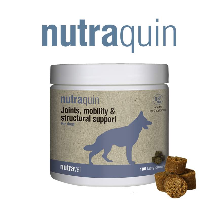 Nutraquin chews