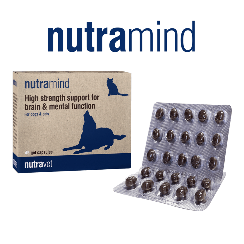 Nutramind capsules