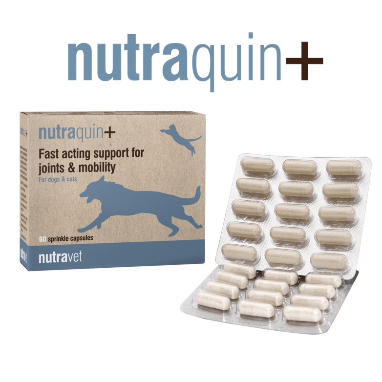 Nutraquin +