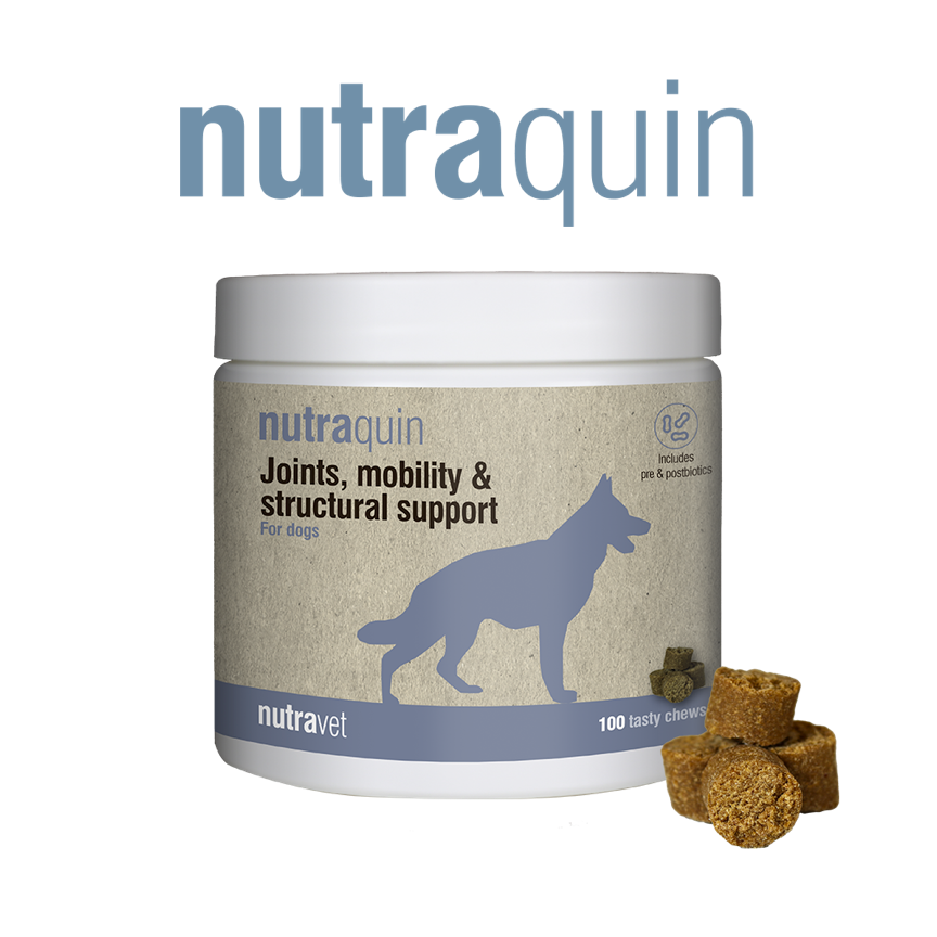 Nutraquin chews