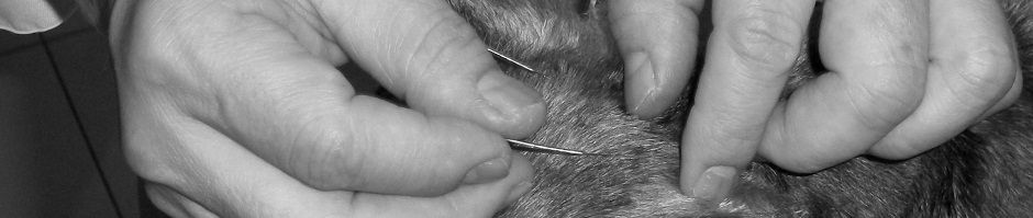 Natural Pet Care shop & Veterinart Surgeon