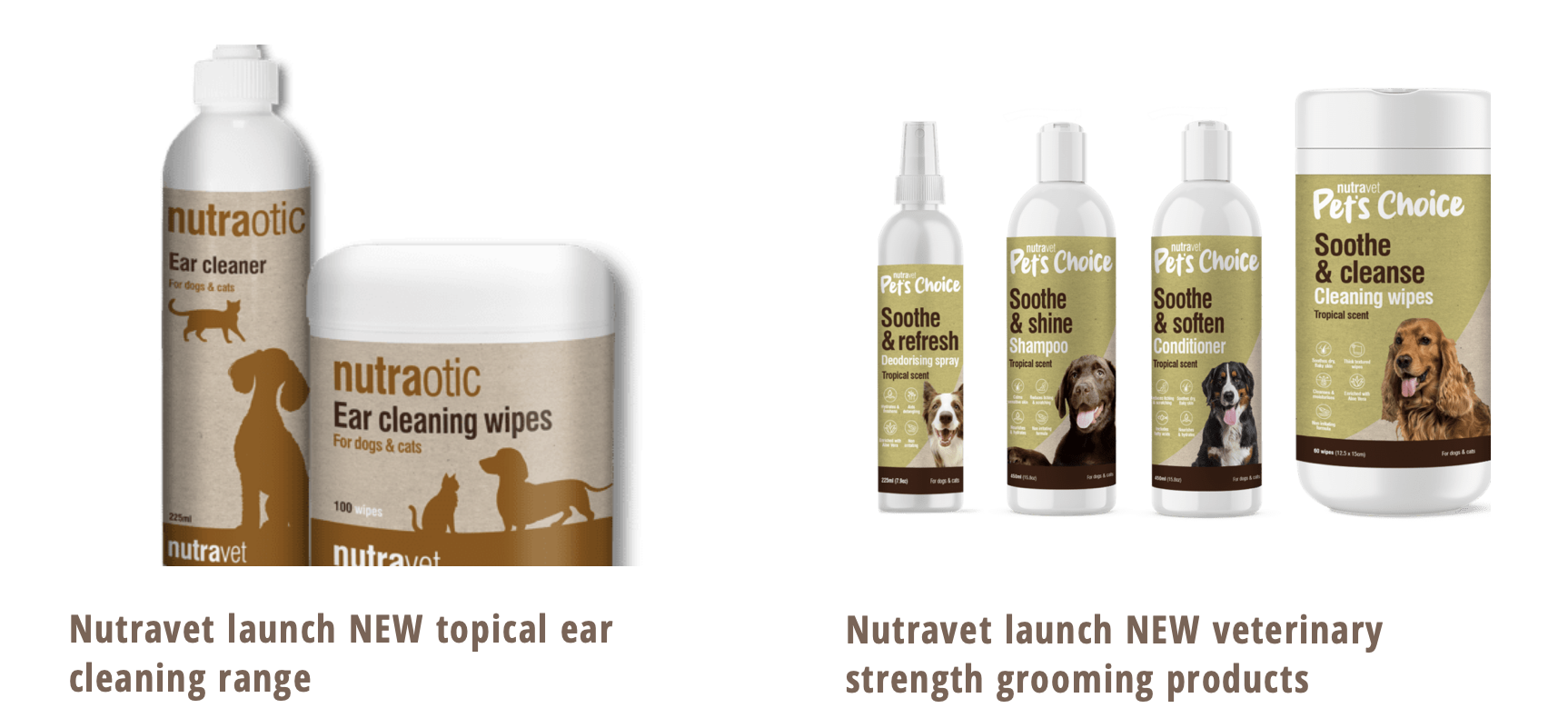 Herbal and Homeopathic Vet in North Wales & NW England