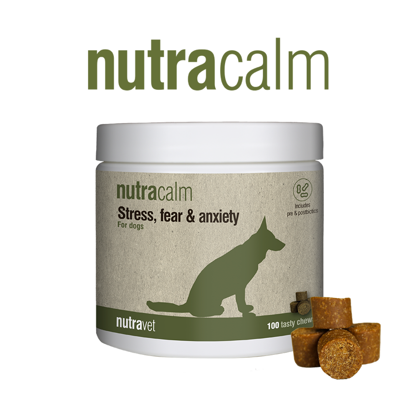 Nutracalm chews