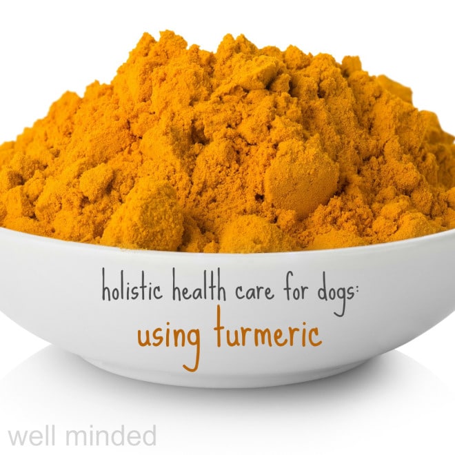 Turmeric for dogs