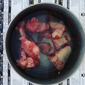 Bone Broth foist stage