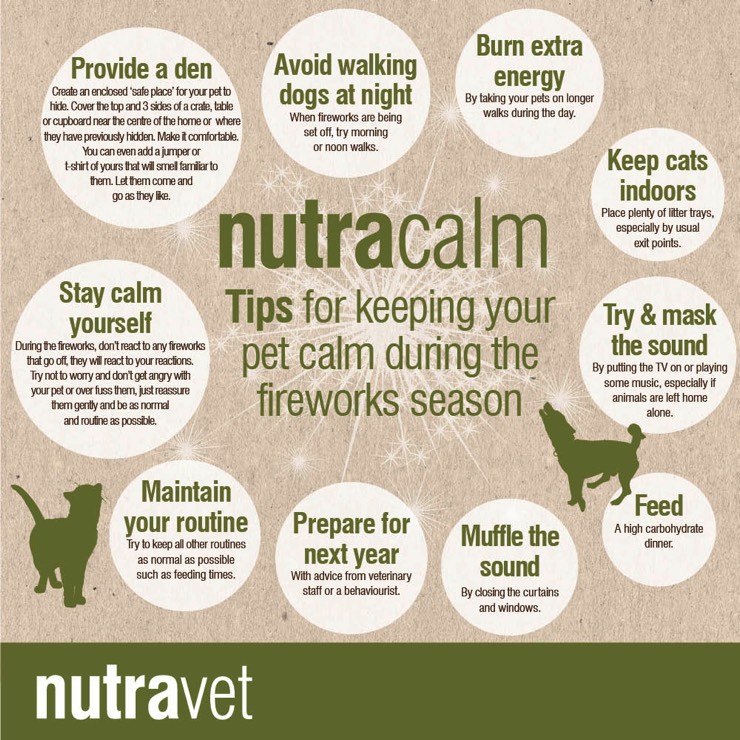 Nutracalm advice poster
