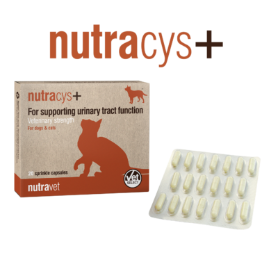 nutracys-20-1.png-400x400 Nutracys capsules