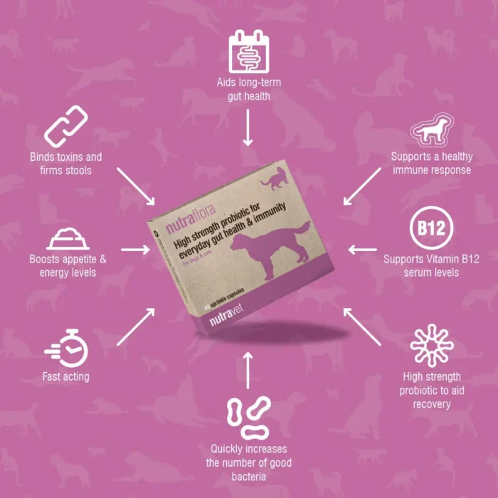 Nutraflora capsules 12 pack