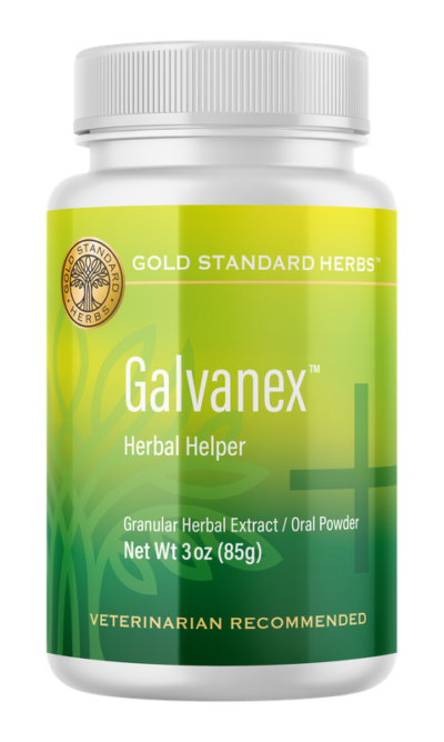 galvanex Galvanex 85gm