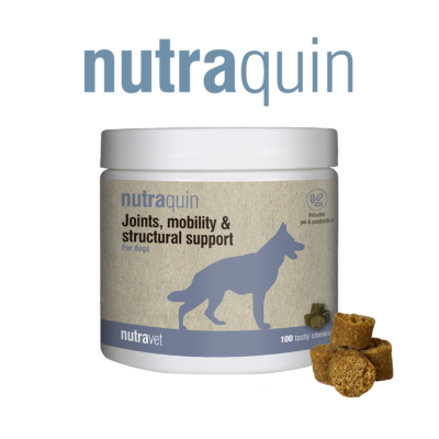 Nutrquin Chews