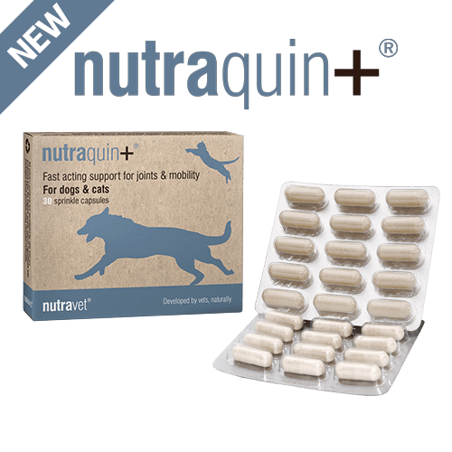 Nutraquin+ Capsules